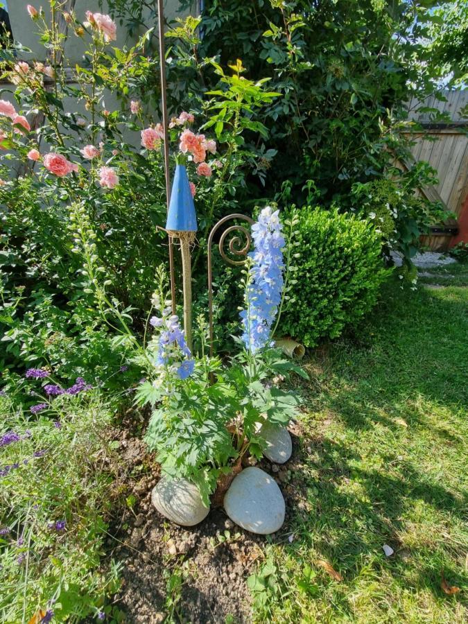 Ankommen, Wohlfuehlen Und Die Natur Geniessen Lichtenhain  Eksteriør bilde